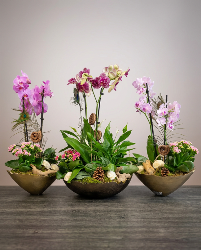 aranzman-orchidea-luxusny-bratislava