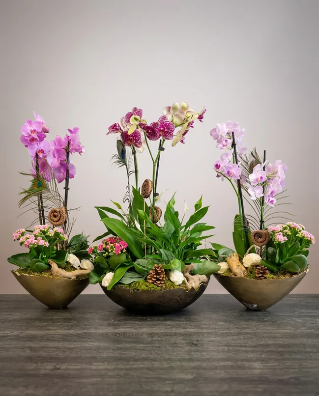 aranzman-orchidea-luxusny-bratislava